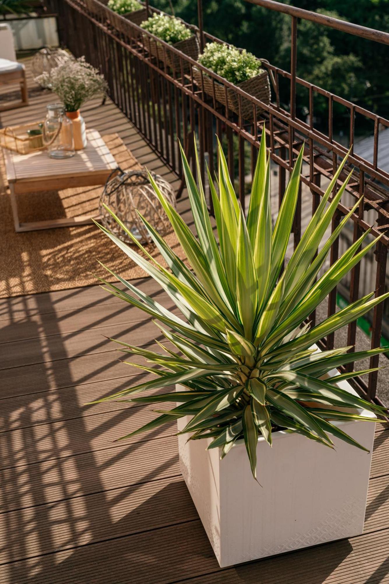 Penthouse Panorama - Loftaffair Apartman Krakkó Kültér fotó